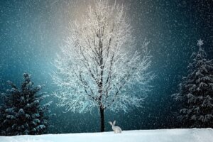 2022年12月22日冬至図