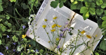 2026年4月6日(月)のサビアンシンボル牡羊座17度「静かに座るふたりの独身女性」