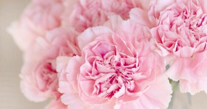 2026年3月16日(月)～3月22日(日)スピリットガイドからの伝言｜あなたの魂を照らす光の調べ【本音のかけらワーク Vol.1】