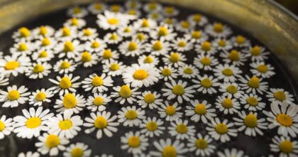 2026年3月27日(金)のサビアンシンボル牡羊座7度二つの領域で同時に自己表現することに成功する男