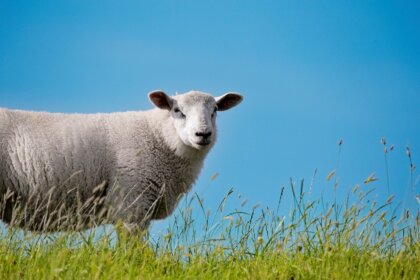 【2026年4/13〜4/19 の運勢/新月】が導くメッセージ｜アトリエトレフル通信vol.4