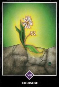 osho禅タロット　courage