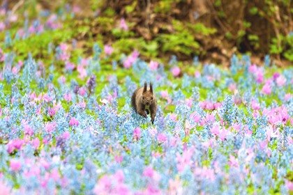 水瓶座30度サビアンシンボル