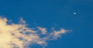 アトリエトレフル